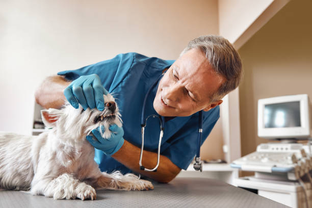 Best Emergency Root Canal Treatment in Frankfort, KY